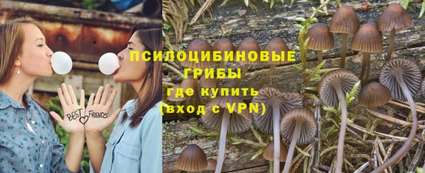 мескалин Богданович